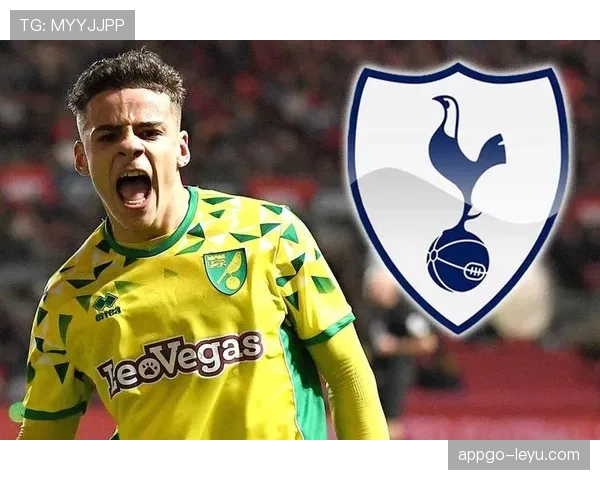 布鲁诺职业生涯展望：从新星到顶尖球员的稳步提升之路