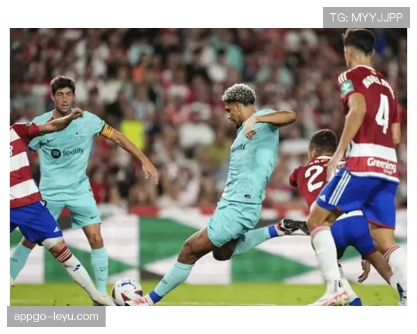 赫塔防线漏洞引热议，专家呼吁防守体系亟待系统性提升