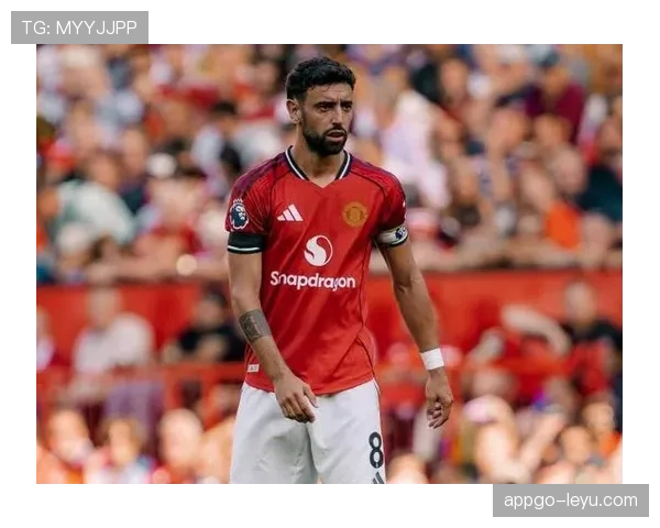 布鲁诺英超数据